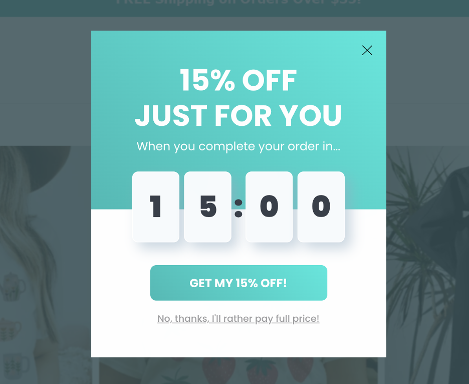 Exit-intent popup example from Tiny Beast Designs with a countdown.